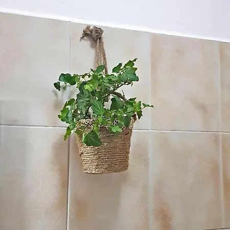 La Tana Degli Orsetti Holiday home Barrea