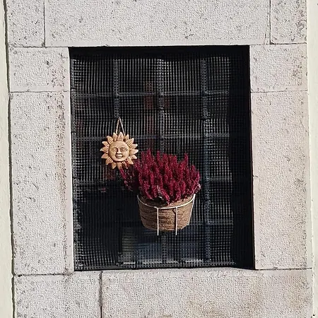 La Tana Degli Orsetti Holiday home *