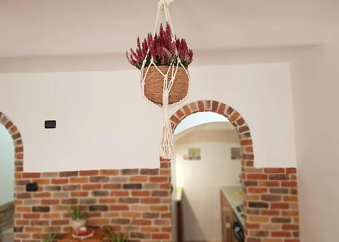 La Tana Degli Orsetti Tatil Evi *